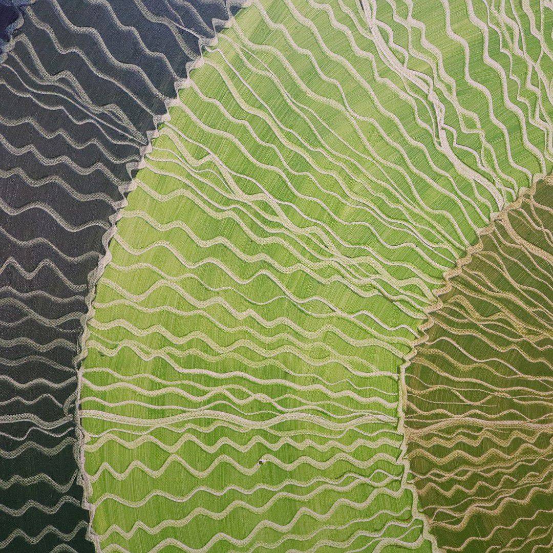 Antiqium Ürün  SALİH SALNUR